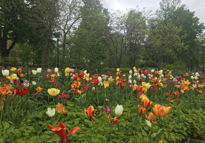 Plantings along Water's Edge Garden path on Wards Island.