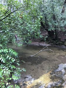 Darnell Creek crossing.