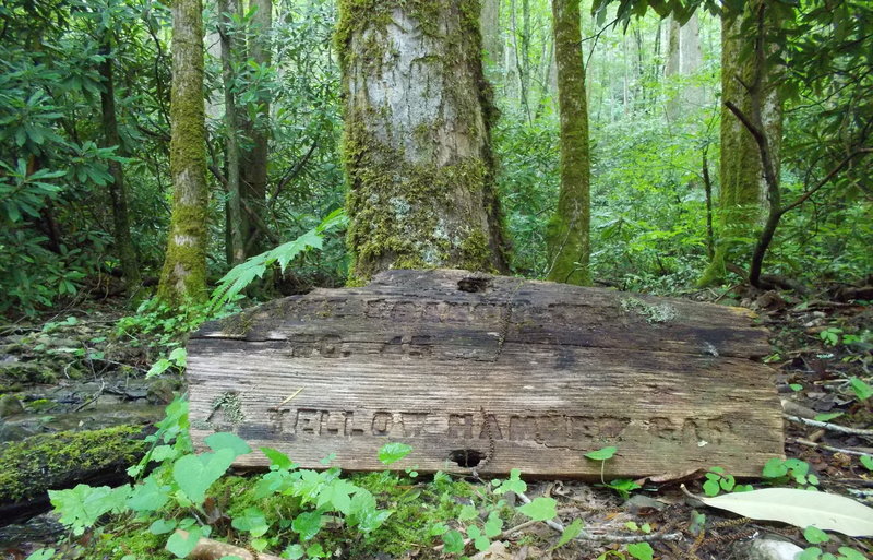 The old trailhead sign.