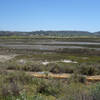 View south of San Dieguito Lagoon in late spring with I-5 at the right edge.