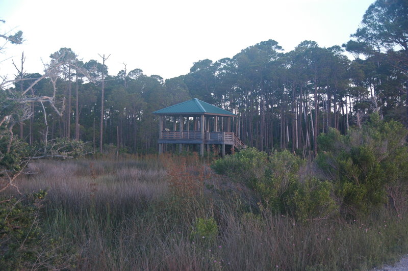 Observation platform on Gator Lake.