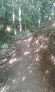 The beginning of the Waterfall Trail.