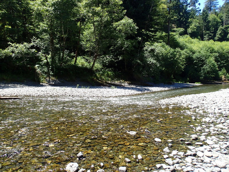 Looking back at McDonald Creek.  \Exit the river soon after this