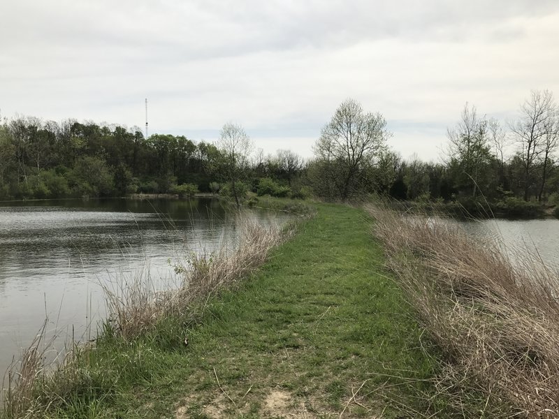 In between the top two fishing ponds on the Orange Trail. Good spot for some waterfowl or lurking Kingfishers, as well as an excellent fishing spot!