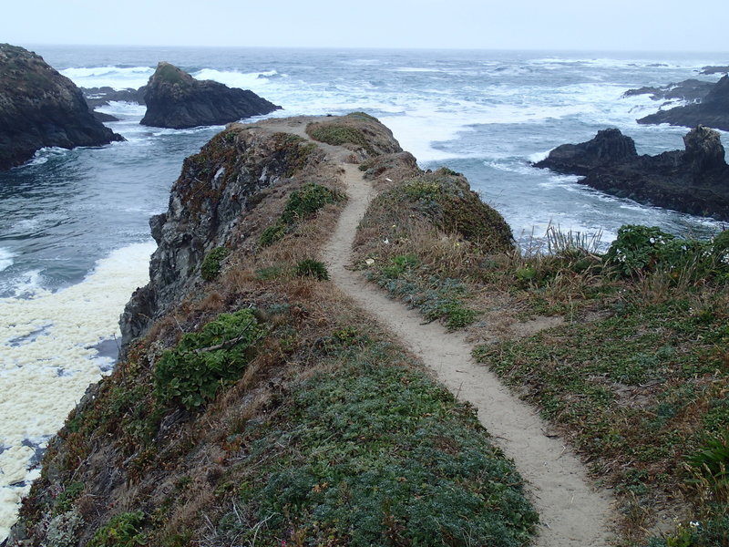 A coastal viewpoint.