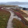 Point Mendocino Coastal Trail.