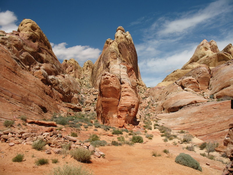 Valley of Fire glory.