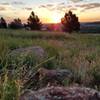 Sunrise view on the Homestead Trail.