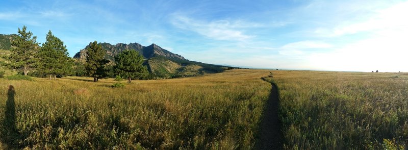 The view after emerging from the forest.