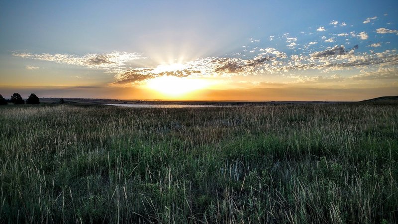 Looking east to the sunrise along the Greenbelt Plateau Trail. July 2015.