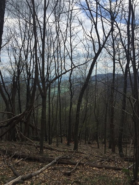 View from the Stony Mountain Trail.