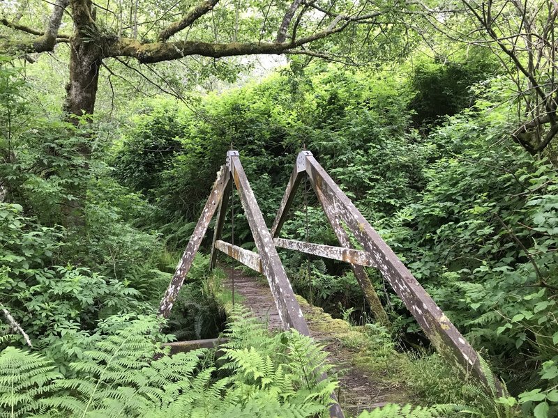 Wooden bridge on Stone Lagoon Trail.