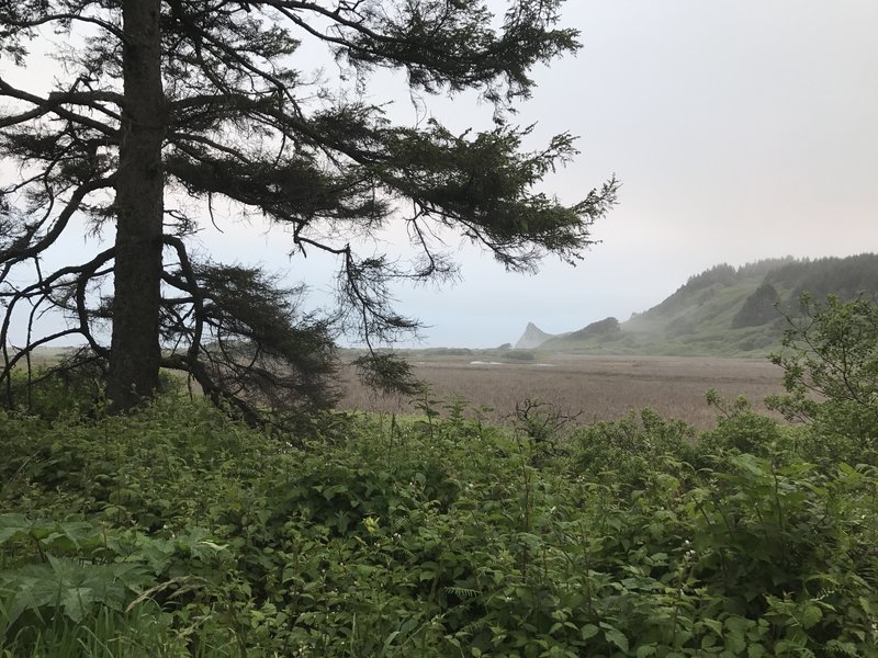 A view of Dry Lagoon looking toward Sharp Point from the access road.