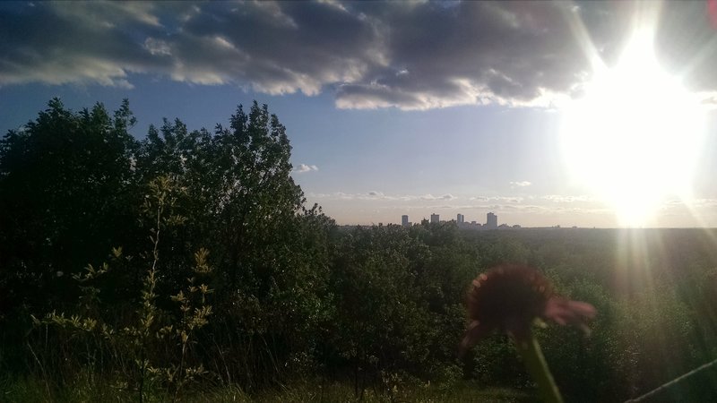 A view of the Fort Worth skyline from Gateway Park.