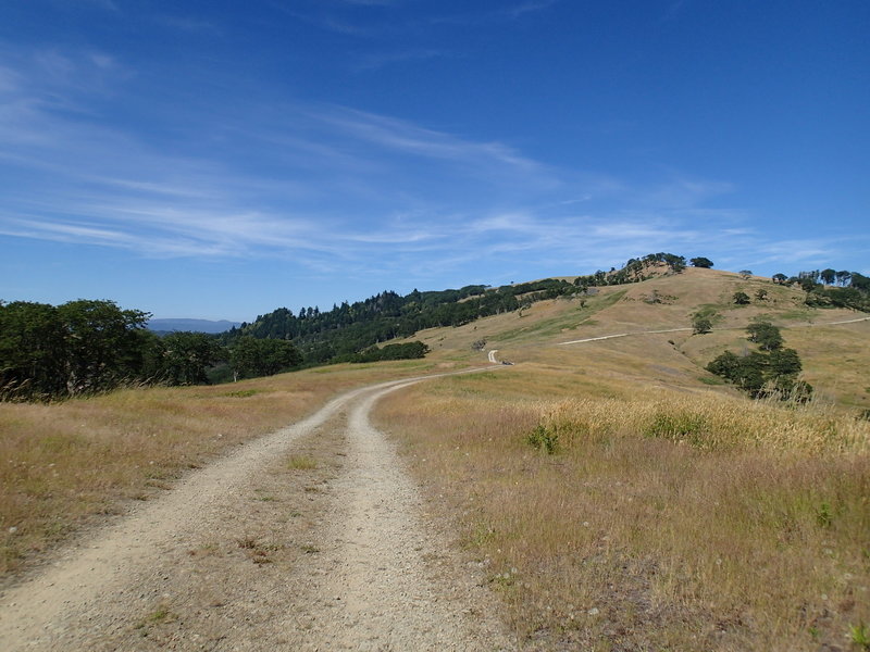 Lyons Ranch Trail offers pleasant views.