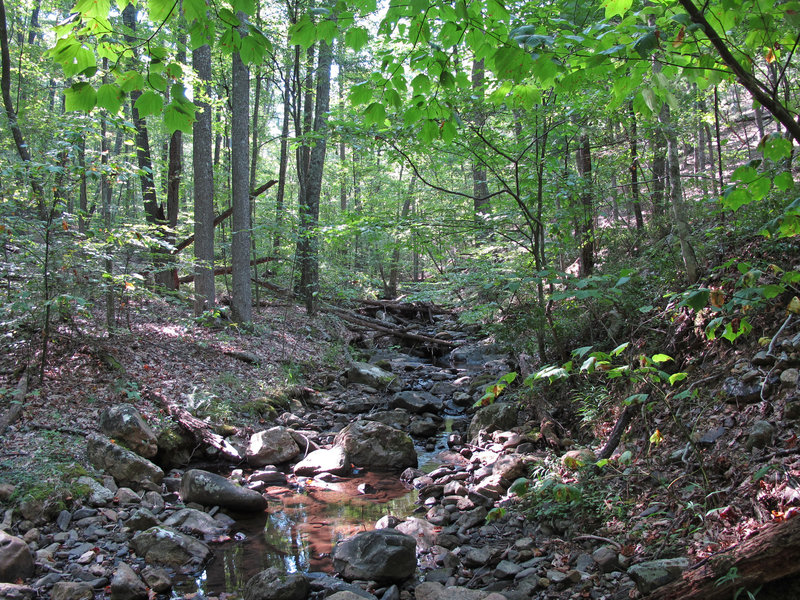 Enjoy lots of cricks on the Stony Run Trail.