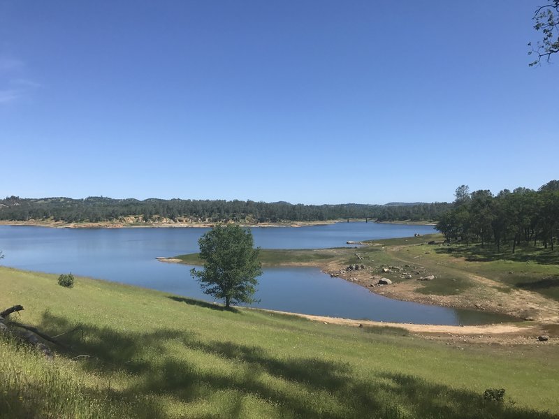 Lake views!