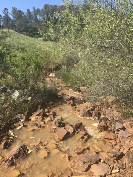 The water is still flowing after a super-wet winter.