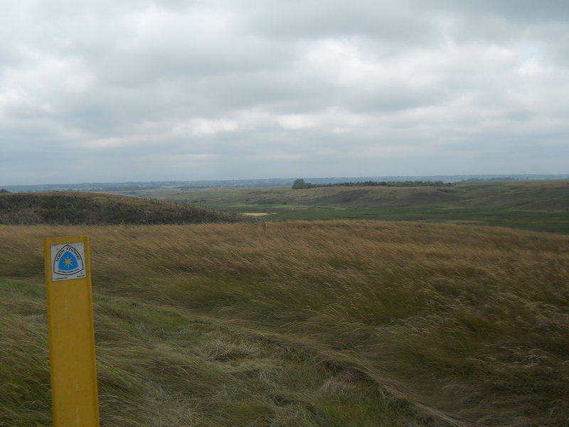 The yellow NCT Carsonite marker in the foreground, with swaths of virgin prairie in the background.