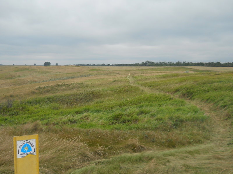 A bending section of the mowed grass trail.