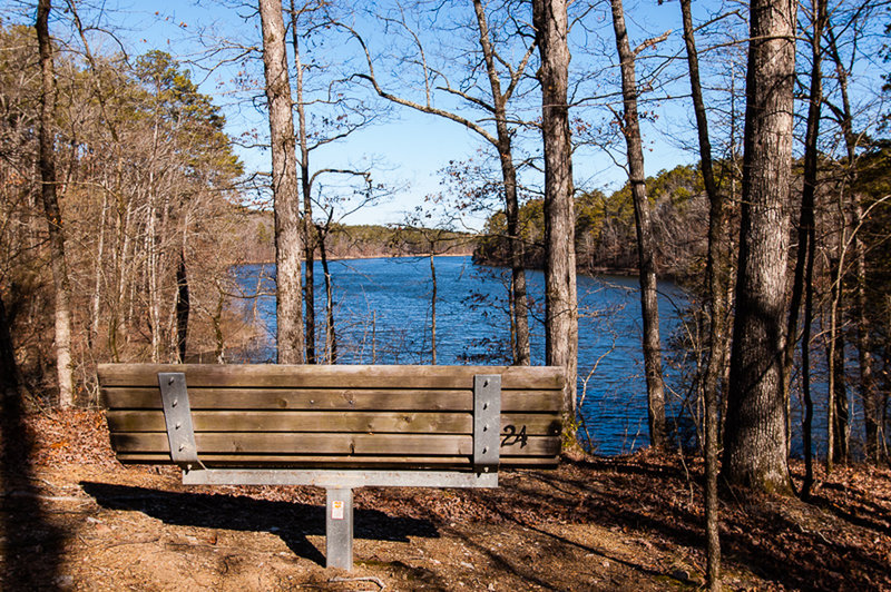 A bench along the Lake Ouachita Vista Trail overlooks Lake Ouachita, AR.