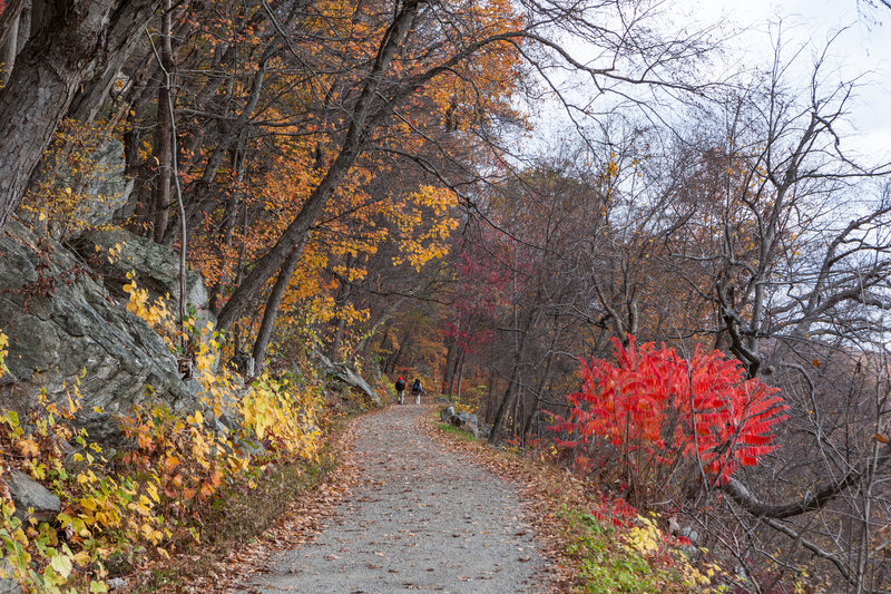 Undercliff Carriage Road is gorgeous in the autumn.