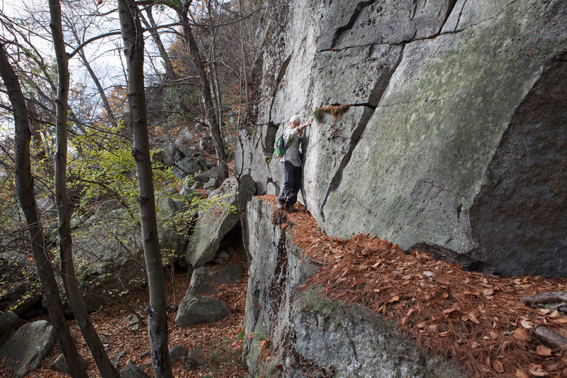 You can walk Undercliff Carriage Road, or just above it on its namesake cliff.