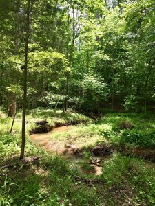 Meandering Stoney Creek is a pleasant trailside companion.
