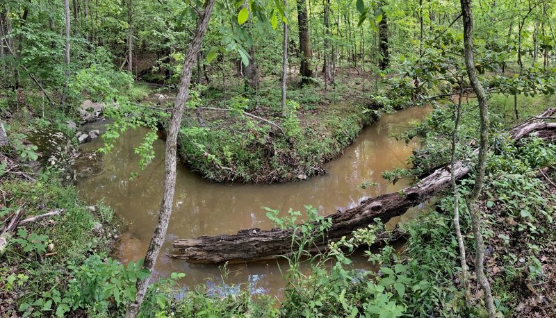 Stoney Creek makes a series of bends through the forest.