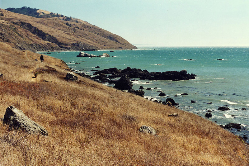 Traveling the Lost Coast Trail in October brings golden grasses and wonderful temperatures.