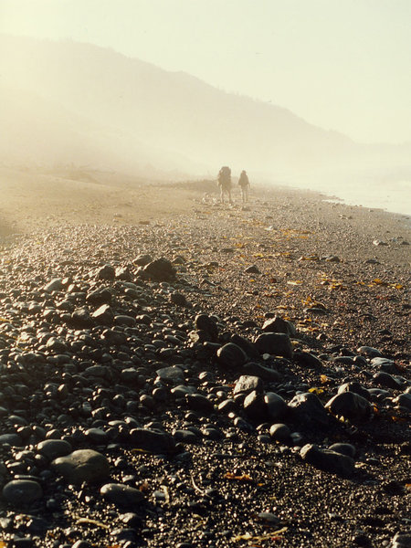 A misty morning makes for a beautiful hike along the Lost Coast Trail.