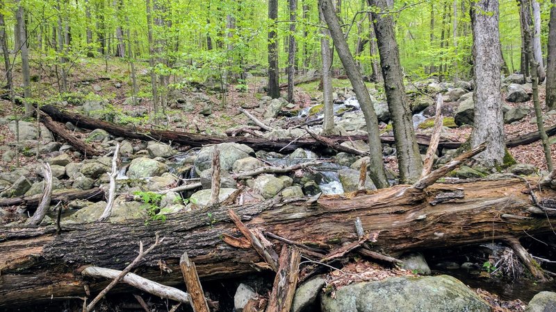 Posts Brook descends down a boulder-laden riverbed.