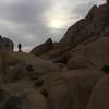 Large boulders are abundant along the Skull Rock Nature Trail.