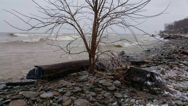 Winter brings harsh views from the sand bar in front of Elk Creek.