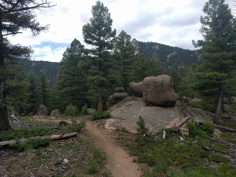 Lots of cool rock outcroppings are just off the tread along Little Scraggy Trail.