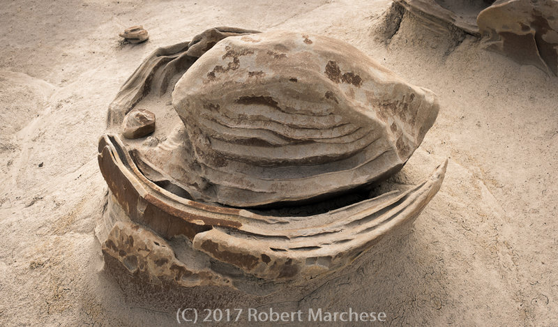 This is one of the "Cracked Eggs" you may encounter in the Bisti De Na Zin Wilderness Area.