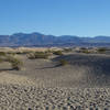 The edge of the Mesquite Sand Dunes shine in the morning light.