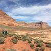 Reflection Canyon Trail keeps up the beautiful scenery heading back to the car.