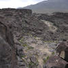 This is the view downstream of Fossil Falls.