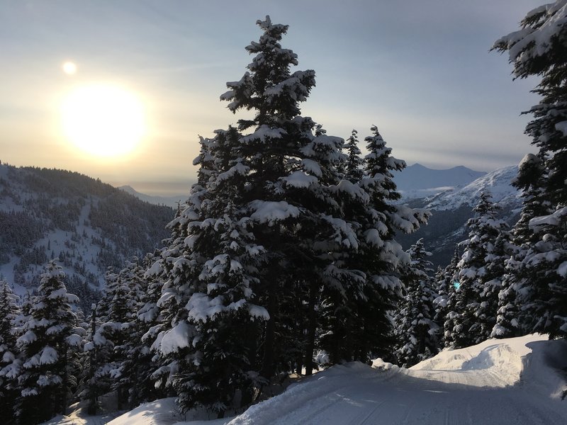 Snow covers every branch of the subalpine spruce and hemlock in the winter.