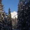 This is just one of several views of the mountains below the timberline.