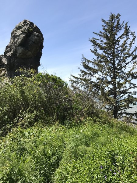 Interesting rocks stand above Klamath Beach.