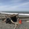 Driftwood forts are abundant on Klamath Beach.