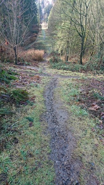 The peak of Veggie Slider Hill can occasionally be muddy.