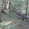 Along the ridge, you can enjoy fleeting glimpses of Gans Creek.