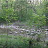 The first creek crossing along the trail is pretty straightforward. Just go slow, and watch your feet!