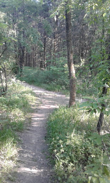 The trail makes a sharp right and follows blazes with the number three.