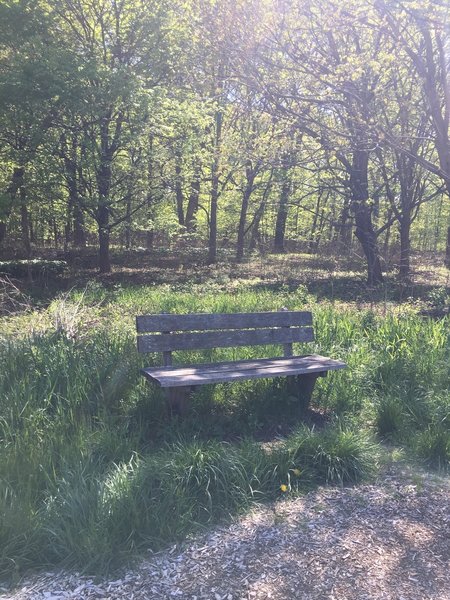 A lovely bench makes a great spot to take a break or pause to enjoy the scenery.