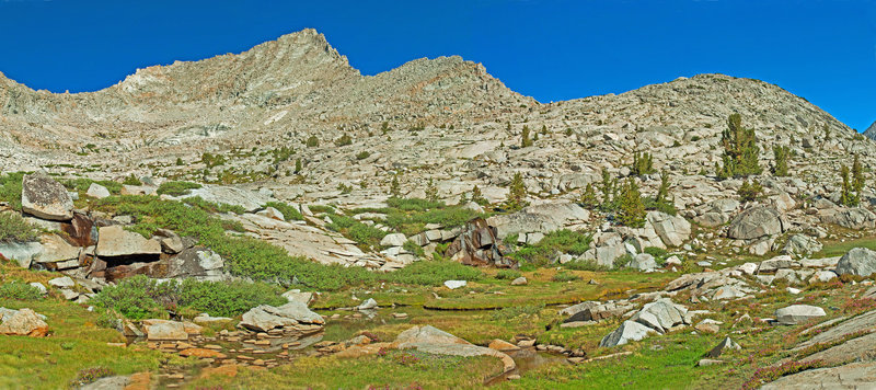 A picture does not do justice to this narrow shelf running parallel to, and 500 ft. above, Goddard Creek. Two little waterfalls are barely visible. Flowers, green grass, little streams...I loved it.