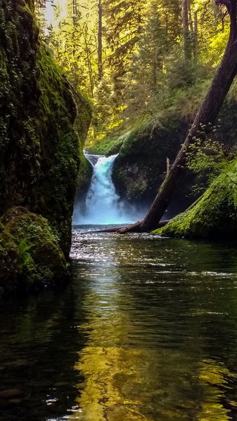 Punchbowl Falls cascades near the Eagle Creek Trail.